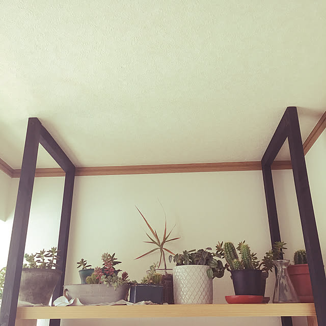 pinoさんの実例写真