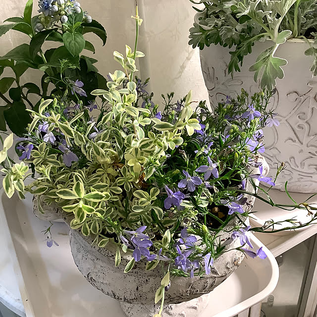 souyaさんの部屋
