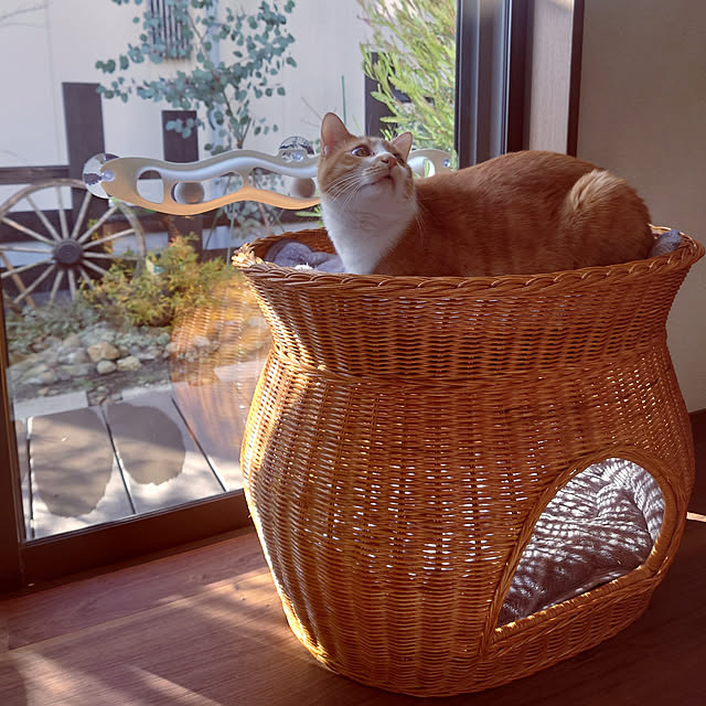 taka-kiさんの実例写真