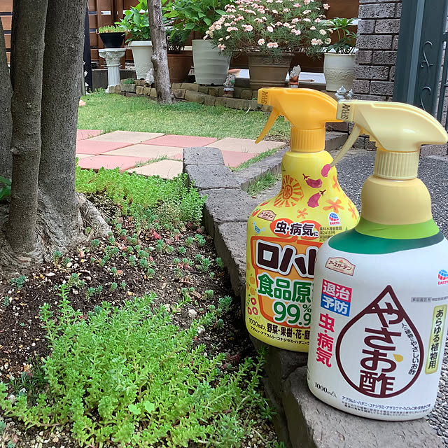haruminさんの部屋