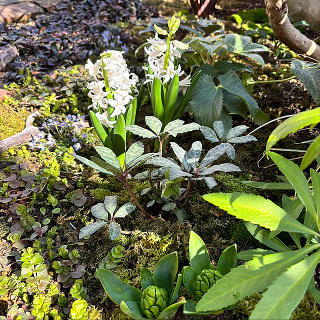 kyoko1124koさんの部屋