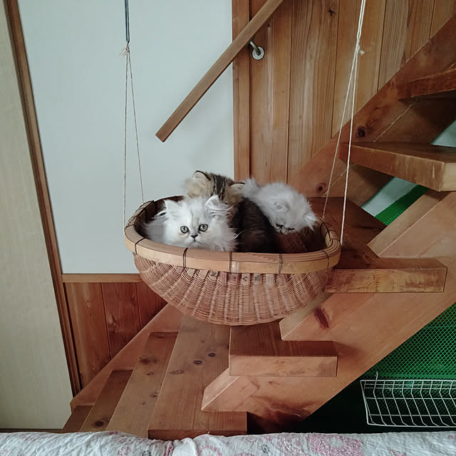 makaronさんの実例写真