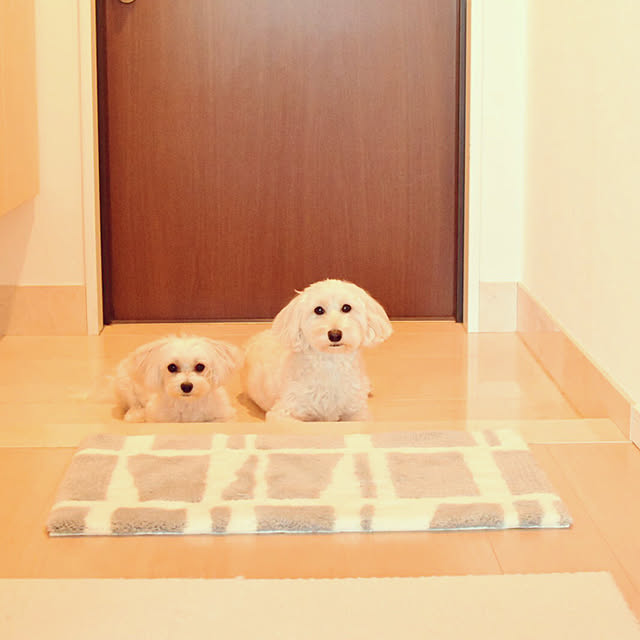 Naoさんの実例写真