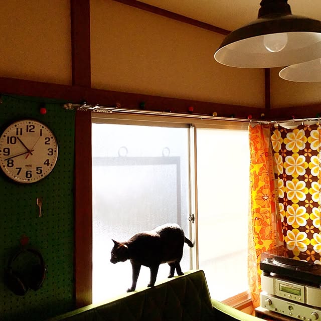 hilaさんの実例写真