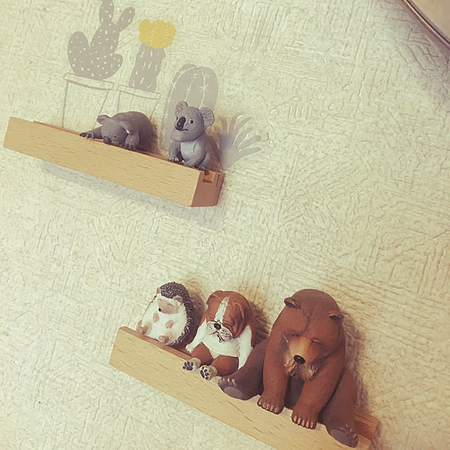 shigimiさんの実例写真