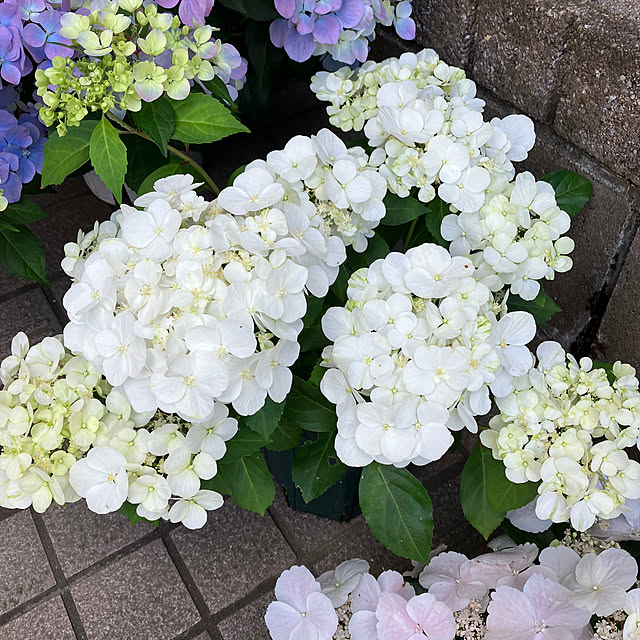 maron915さんの部屋