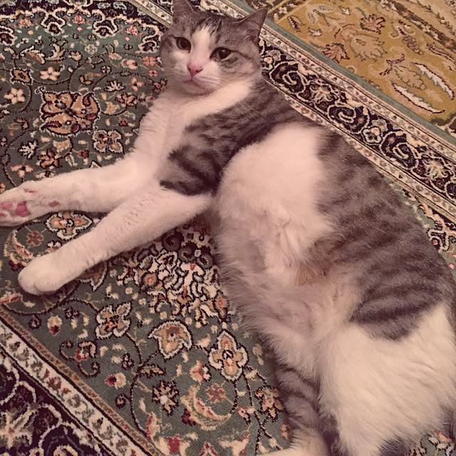 emmyyさんの実例写真