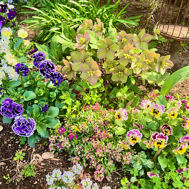 green.green.greenさんの部屋