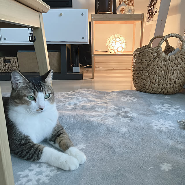 nekomiさんの部屋