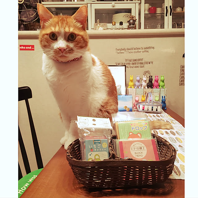 nyanyakoさんの実例写真