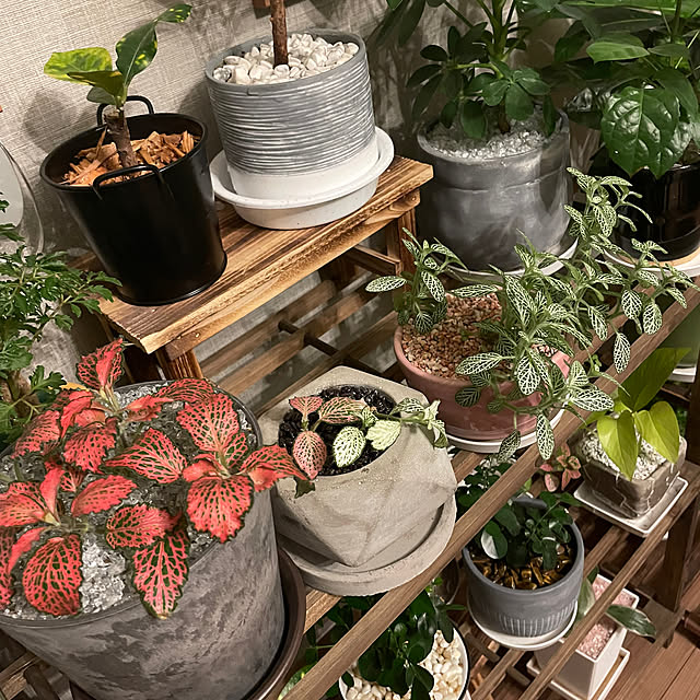 ikuzakさんの部屋