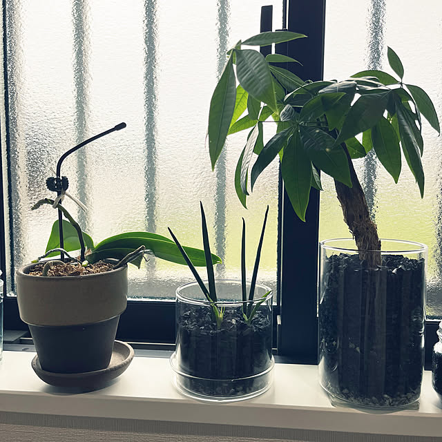 nachiさんの部屋