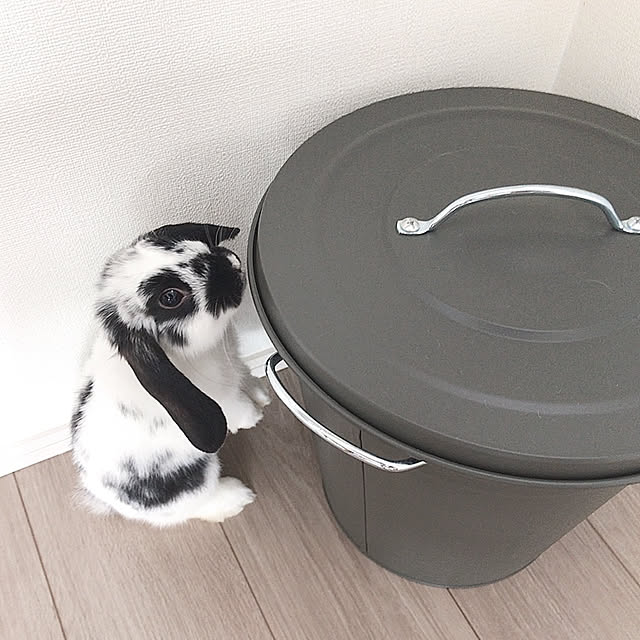 maaさんの実例写真