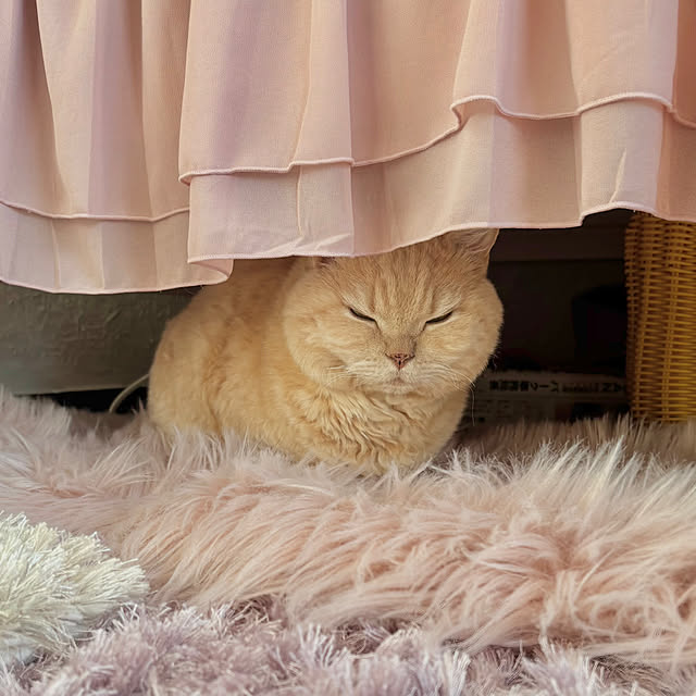 naokoさんの部屋