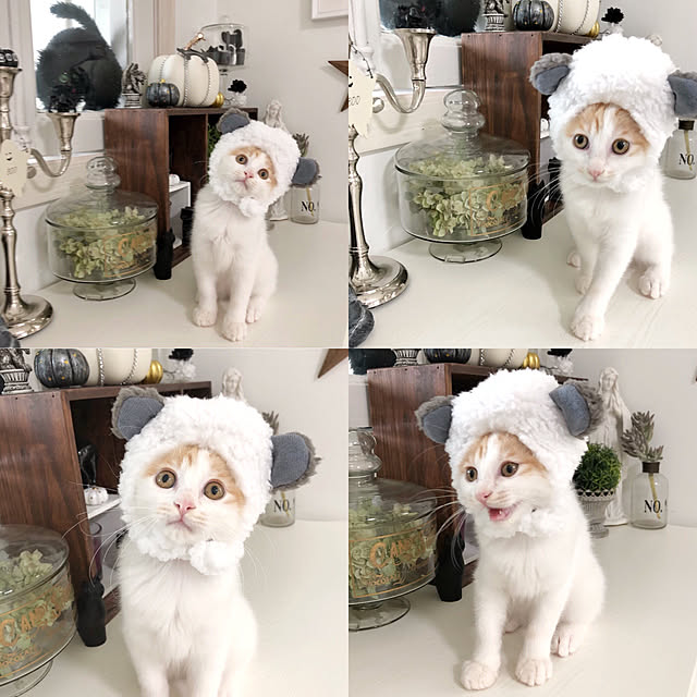 yuchiさんの実例写真