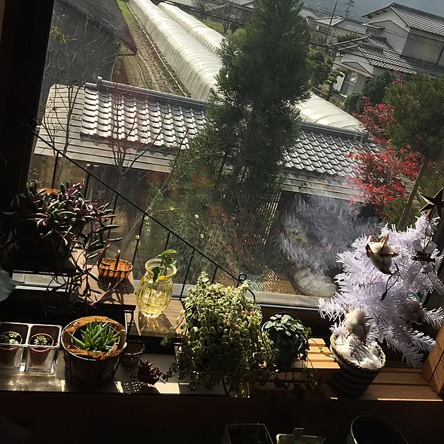 aiさんの実例写真
