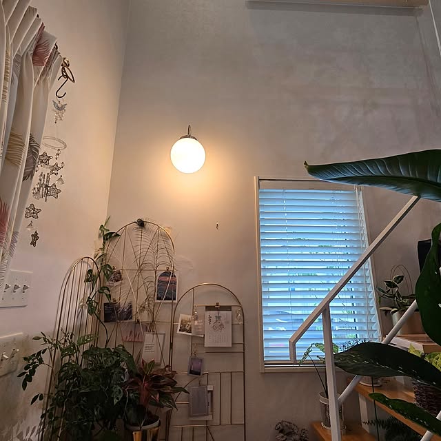 nonbiri_house_さんの部屋