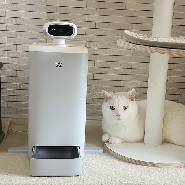 tomatoさんの部屋