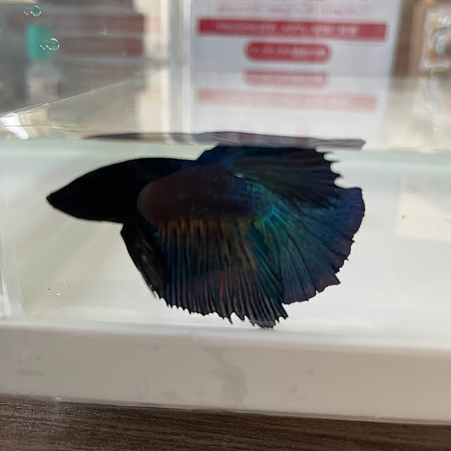 minatoさんの実例写真