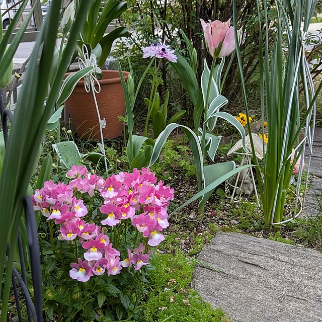 Ruii25さんの部屋