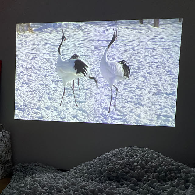 emon_roomさんの実例写真