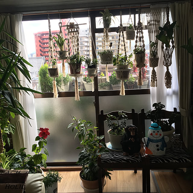 nanaさんの実例写真