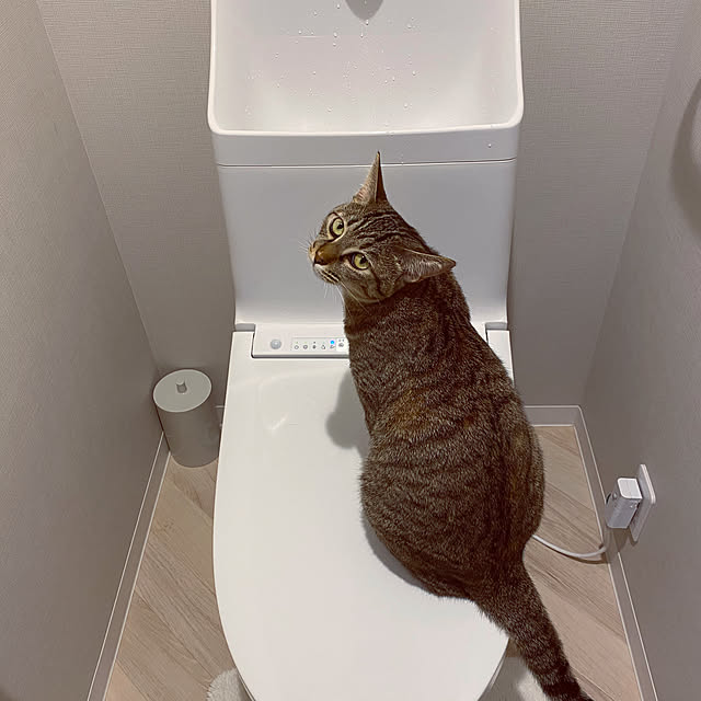 atsunkoさんの実例写真