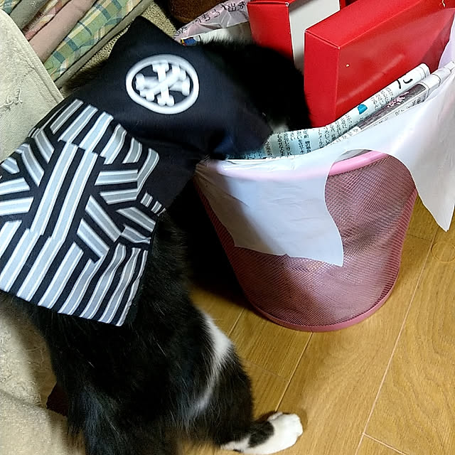 aatan91241さんの実例写真