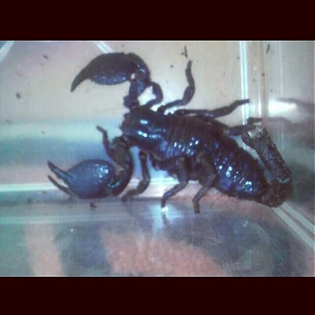ywr.chanさんの実例写真