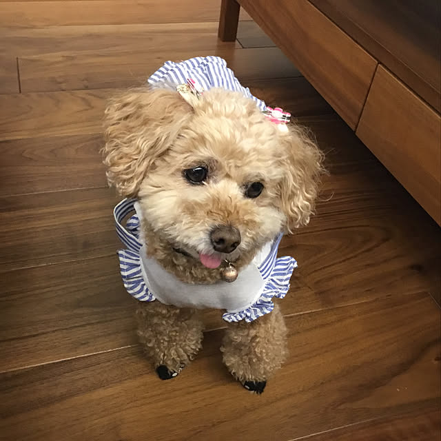 coronさんの実例写真