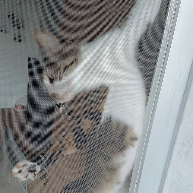 hanacocoさんの実例写真
