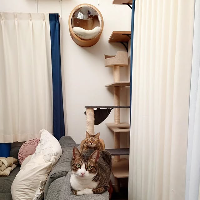 mochicoさんの実例写真