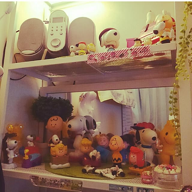 rinmarorinさんの実例写真