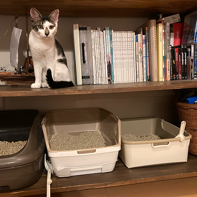 shuko22さんの実例写真