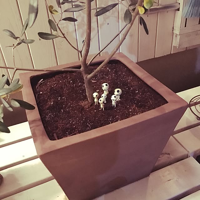 oozorataiga1さんの実例写真