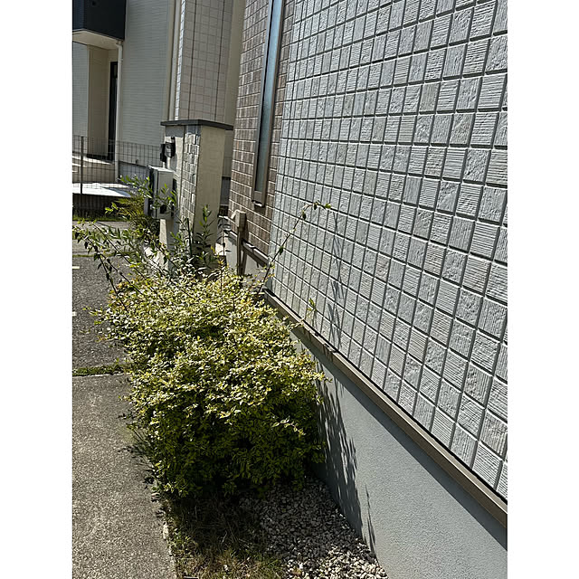 nono.0129さんの部屋