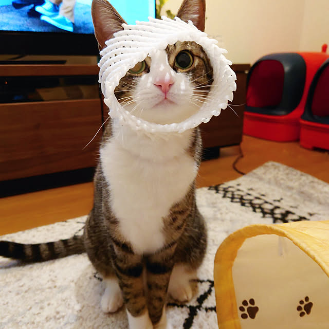 mochicoさんの実例写真