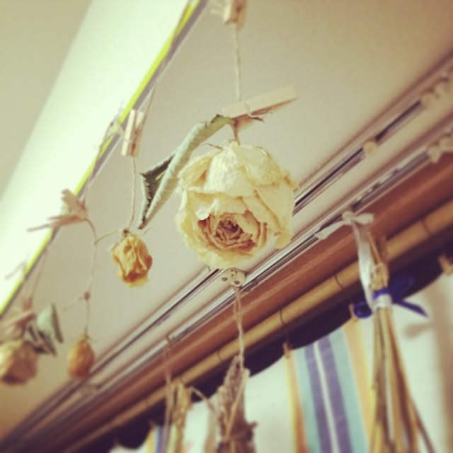 DiaLV..さんの実例写真