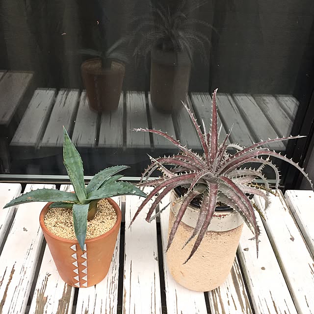 TiffanyTさんの実例写真