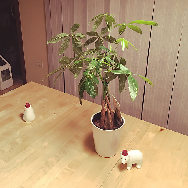 Keiさんの実例写真