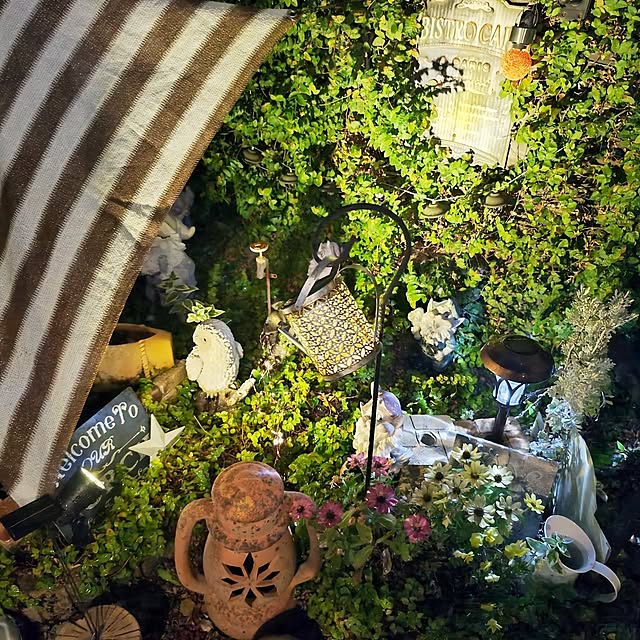 saayaさんの部屋
