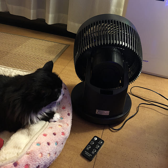 kanaさんの実例写真
