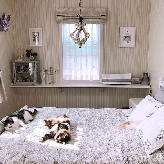 yuchiさんの実例写真