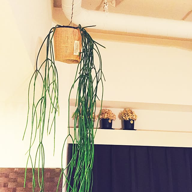 kuroさんの実例写真