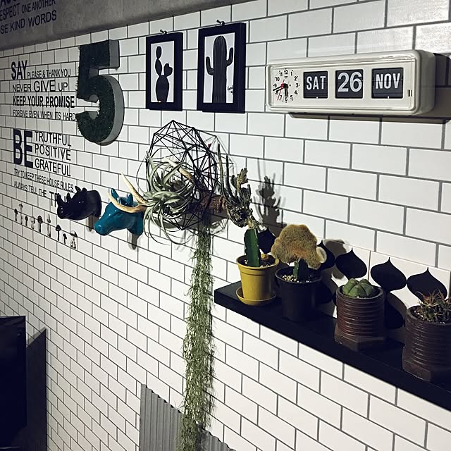 komachangさんの実例写真