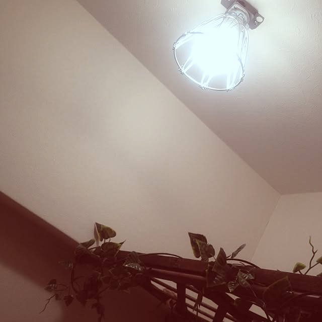 sei_annさんの実例写真