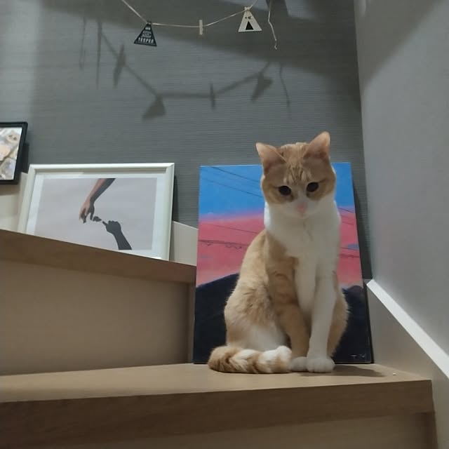 nrsim+kmymさんの実例写真