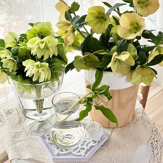 Chigusaさんの実例写真