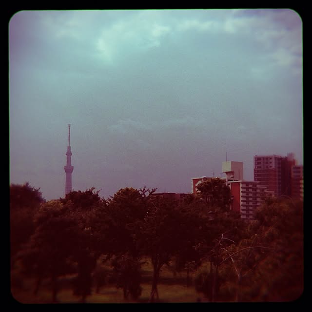 実例写真