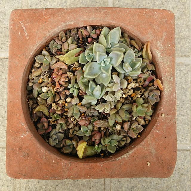 実例写真